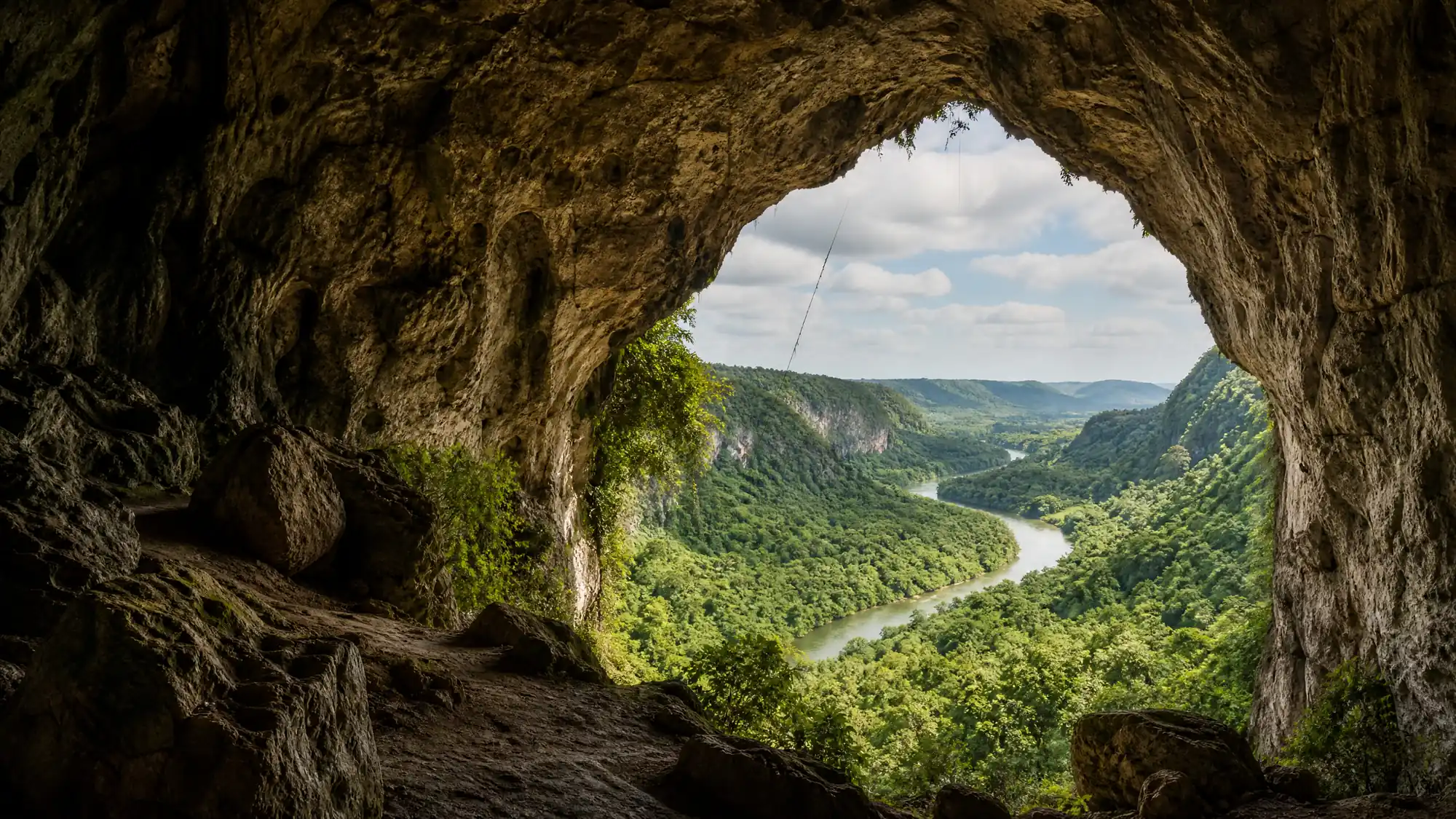 Wandern Sie durch einen subtropischen Wald zu einer 700 Fuß hoch gelegenen Höhle an der Klippe. Sehen Sie uralte Taíno-Petroglyphen und genießen Sie den Blick über das Tal des Río Grande de Arecibo.