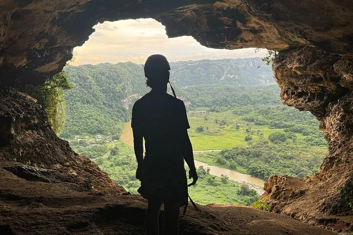 Silueta de una persona mirando desde una cueva hacia un valle exuberante.